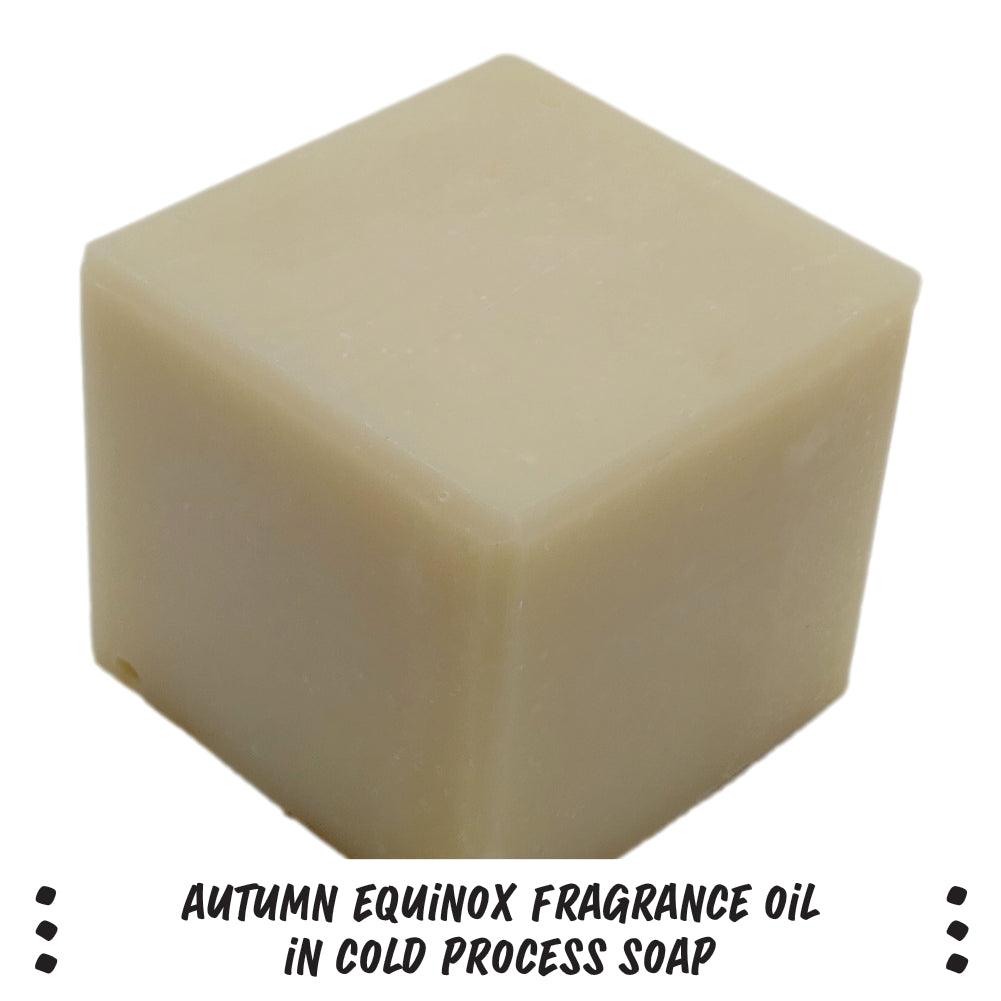 Autumn Equinox FO/EO Blend - Nurture Soap