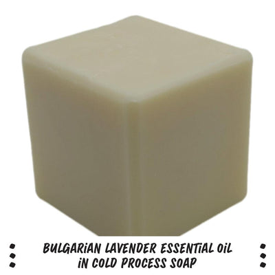 Bulgarian Lavender Essential Oil - Nurture Soap