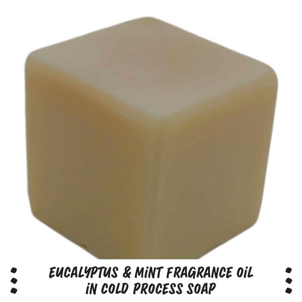 Eucalyptus & Mint FO/EO Blend - Nurture Soap