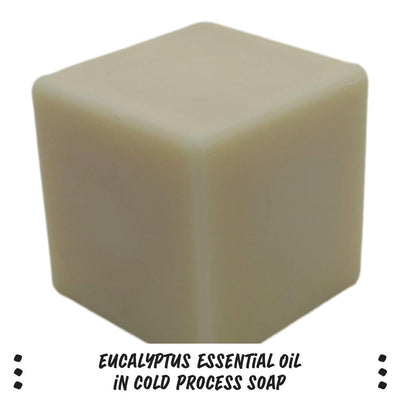 Eucalyptus Essential Oil - Nurture Soap
