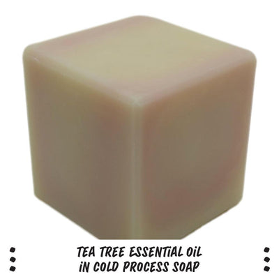 Tea Tree Essential Oil - Nurture Soap