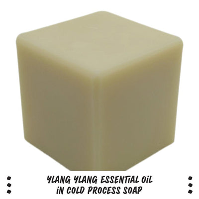 Ylang Ylang Essential Oil - Nurture Soap